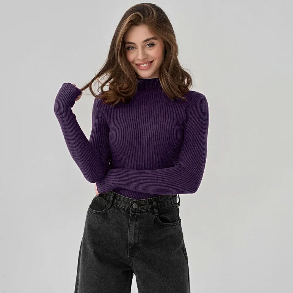 Basic High Neck Long Sleeve Stretch Fitted Ribbed Knit Winter Pullover Sweater