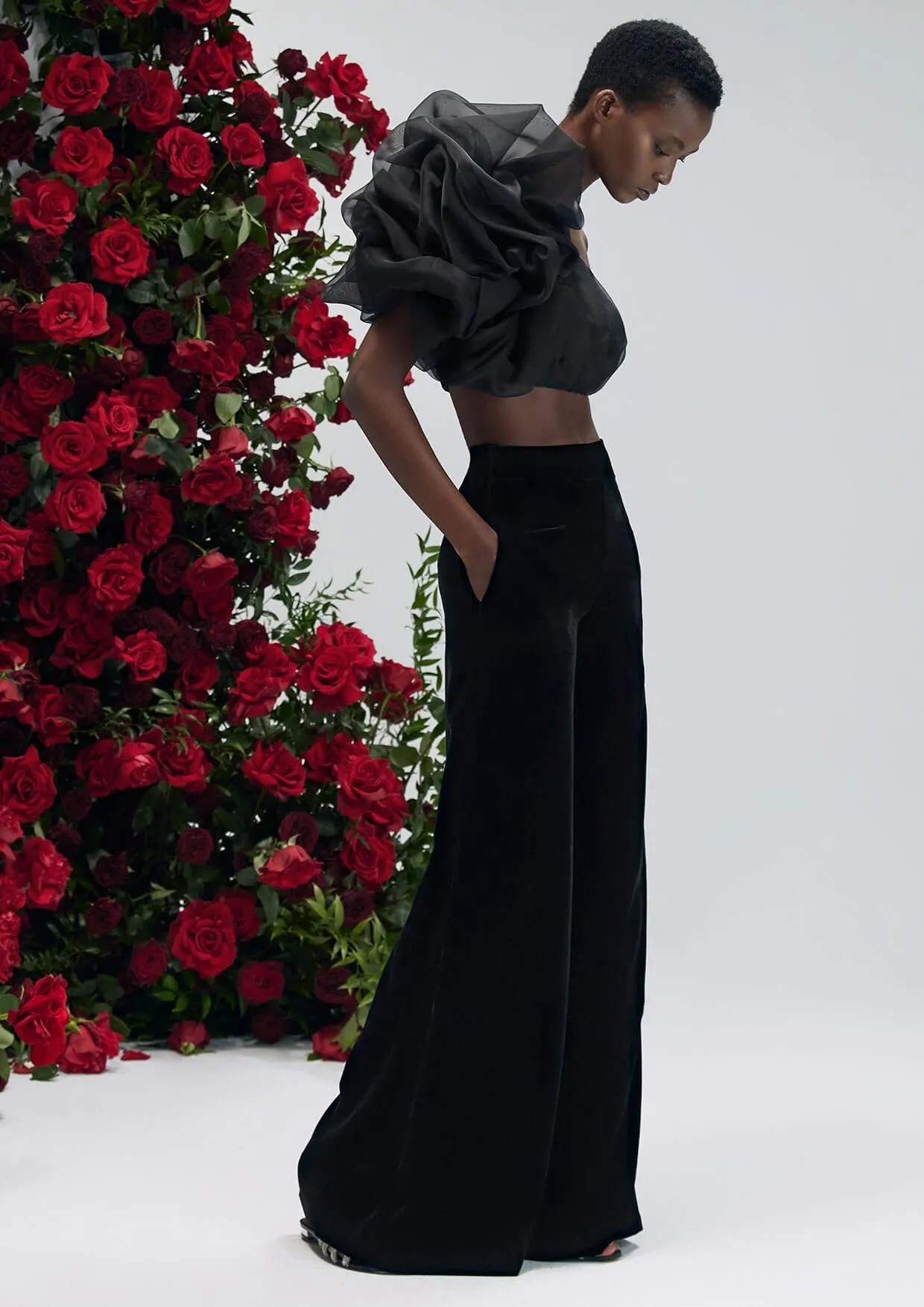 Dahlia Noir Velvet Palazzo Trousers